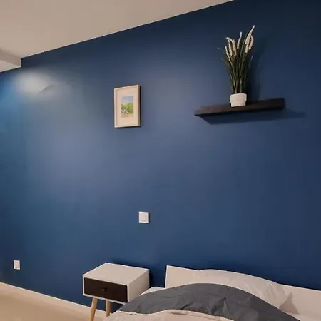Chambres Avec Douche Privative Dans Appartement Partage - Metro - Wifi Toulouse Extérieur photo