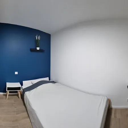 Chambres Avec Douche Privative Dans Appartement Partage - Metro - Wifi Toulouse Extérieur photo